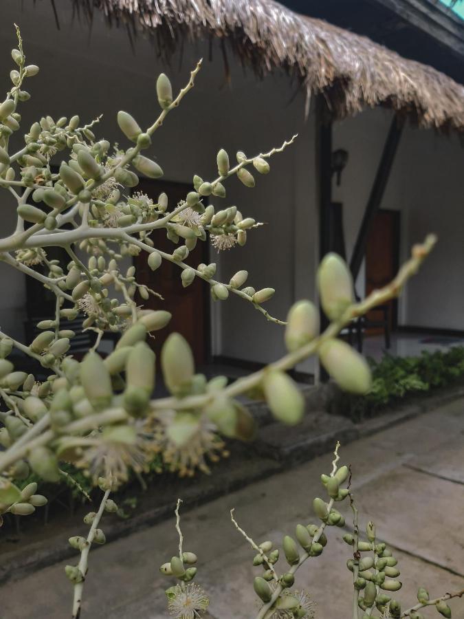 Mimi Kuta Homestay Extérieur photo
